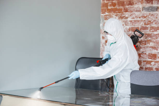 Why You Should Choose Our Mold Remediation Services in Nibley, UT